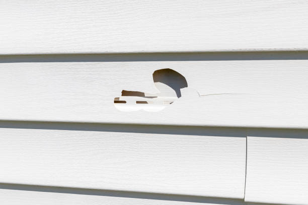 Trusted Palm Springs, CA Siding Services Experts